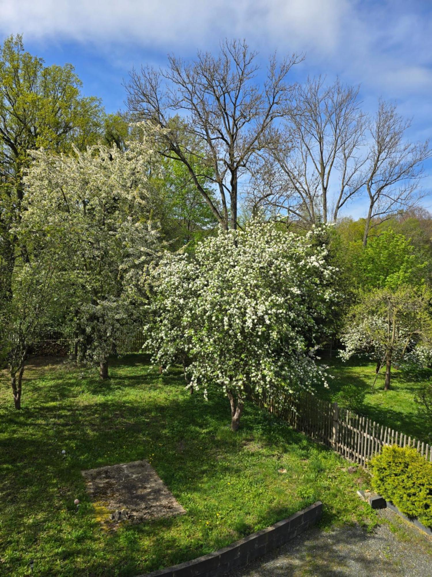 Villa Kuechwald Chemnitz Extérieur photo