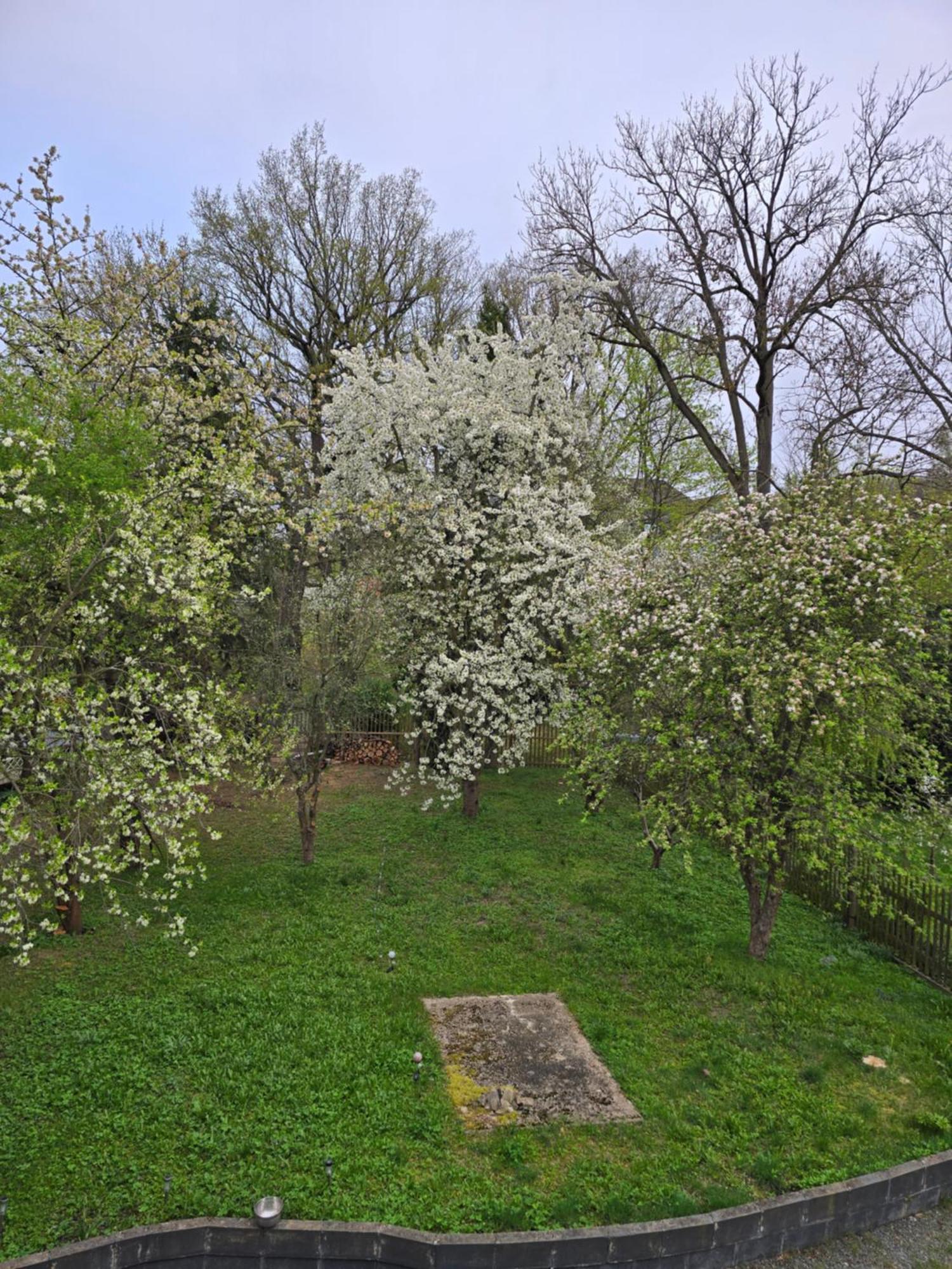 Villa Kuechwald Chemnitz Extérieur photo
